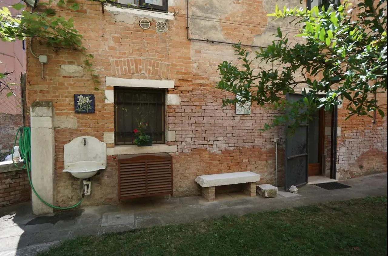 Daire Garden In Venice Biennale